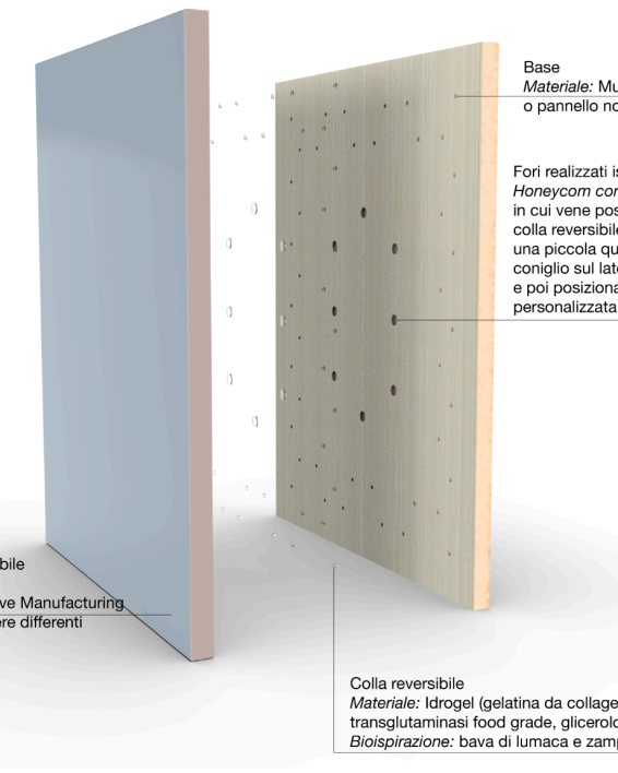 BIOPIC - Kitchen door